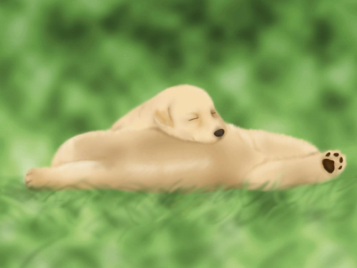 303013 (a): :1600x1200